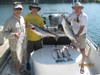 (07/24/2017) - Nice Striped Bass